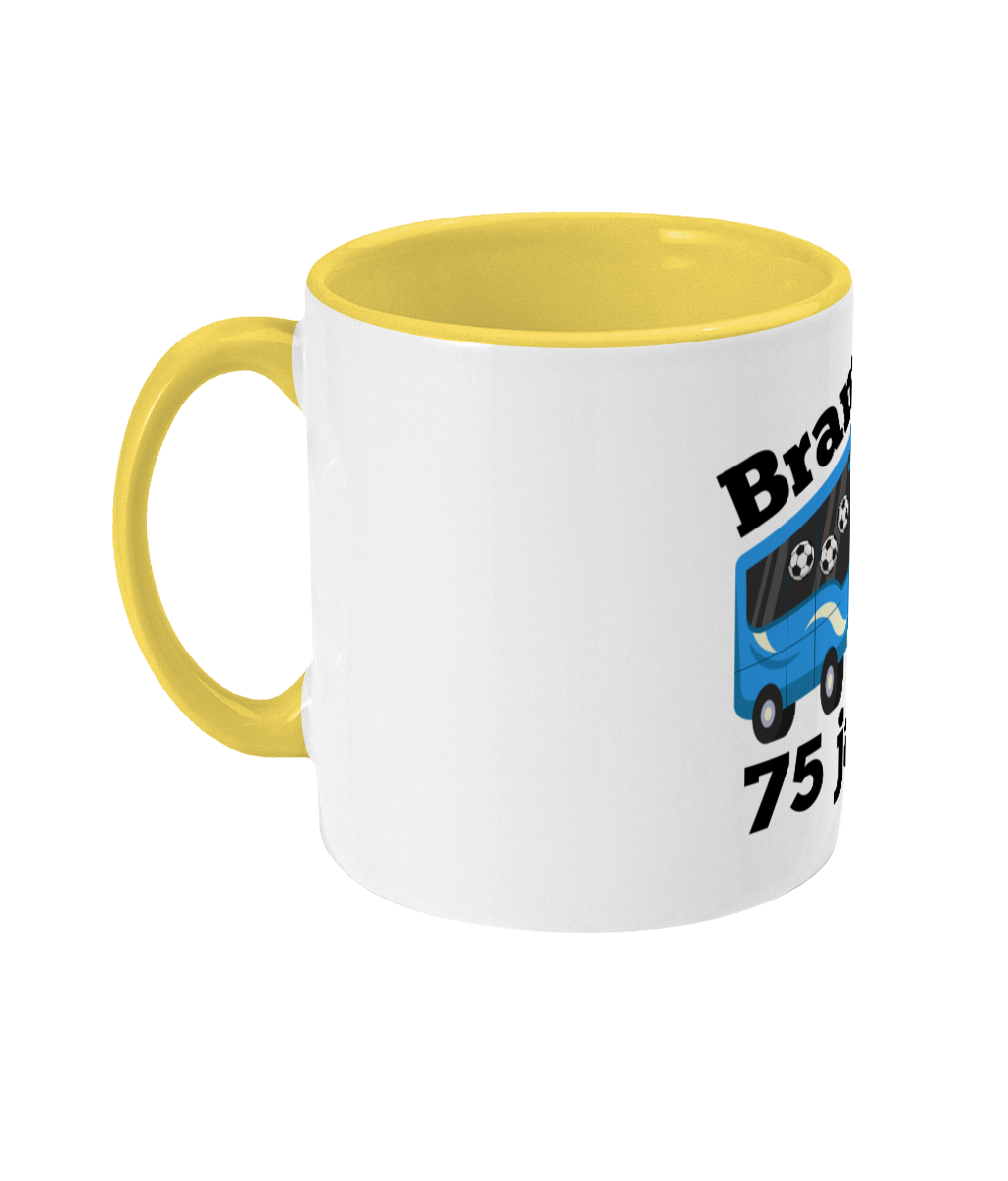 Bram Bus Ballen 75