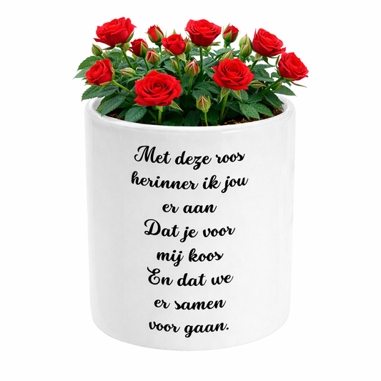 Met deze roos herinner ik jou er aan Dat je voor mij koos En dat we er samen voor gaan